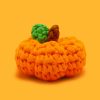 Tiny Pumpkin Accessory Kit
